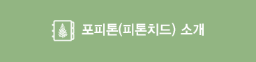 포피톤(피톤치드) 소개