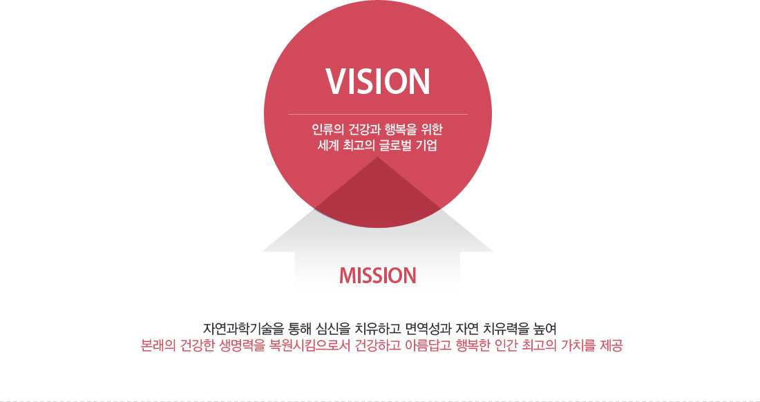 VISION