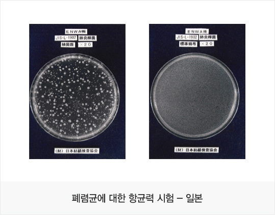 폐렴균에 대한 항균력 시험 - 일본